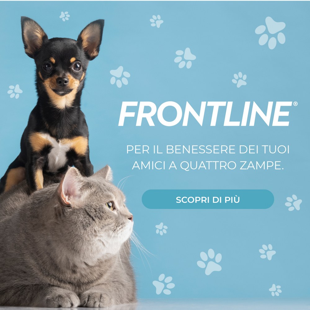 frontline promozioni online